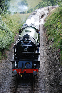 close-up photography of green and black locomotive train on railways at daytime thumbnail