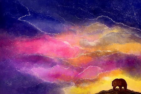 bear walking at sunset thumbnail