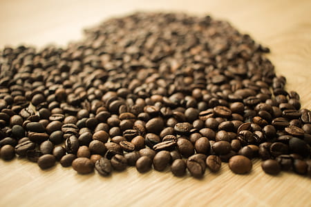 Coffee Beans in a Camera Focus Phoot thumbnail