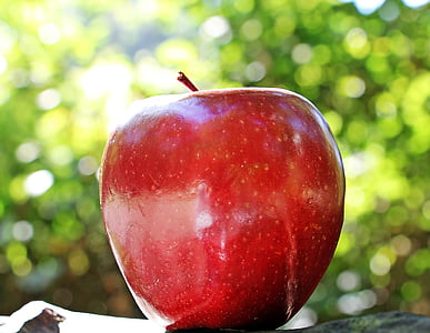 closeup photo of red apple thumbnail