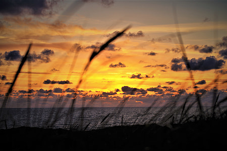 Grass on the coast and beach during summer sunset thumbnail