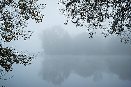 foggy body of water thumbnail
