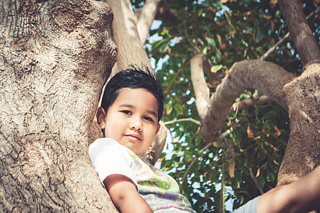 boy on tree during daytime thumbnail