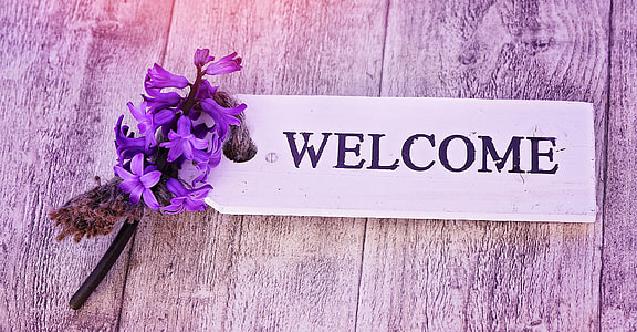 purple hyacinth beside welcome signage thumbnail