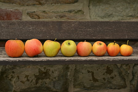 pile of ripe Apples thumbnail
