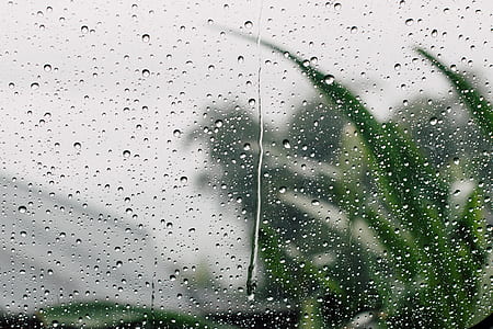 selective focus photography of window with water dew thumbnail