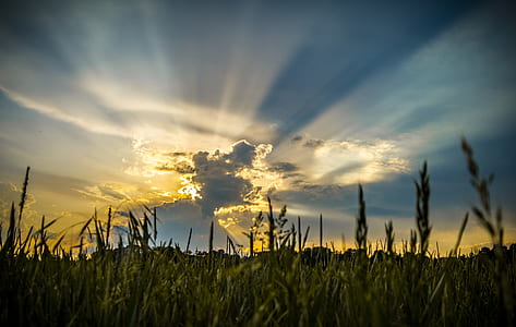 silhouette photography of green field at golden hour thumbnail