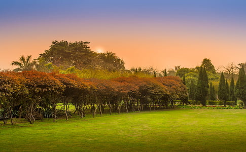 nature, landscape, green, grass, trees, leaves thumbnail
