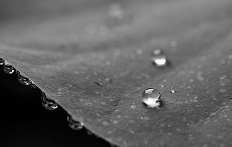 Grayscale Photography of Water Droplets thumbnail