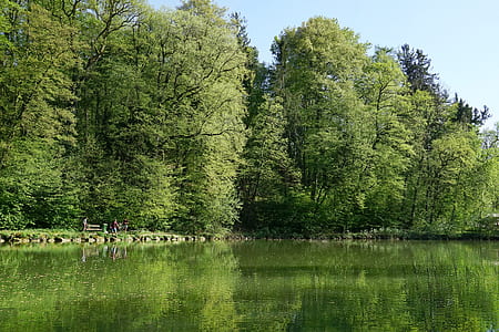 green trees near body of water thumbnail