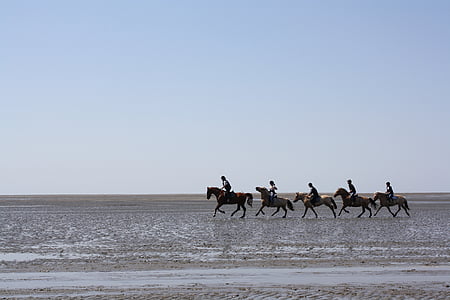 five person riding on horses during daytime thumbnail
