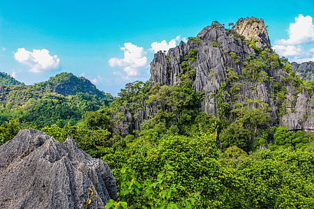 Photography of Mountain Covered With Trees thumbnail