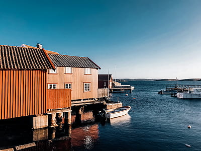 houses near body of water during daytime thumbnail