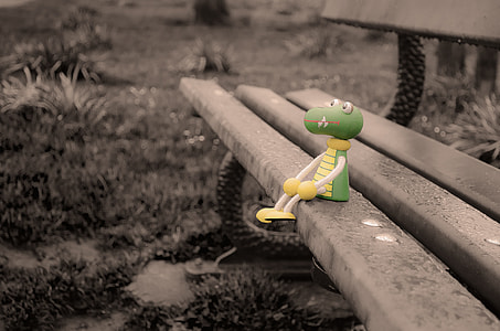 yellow and green frog plastic toy thumbnail