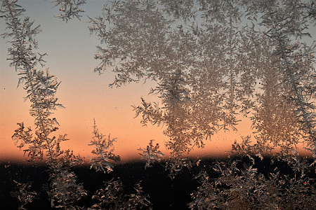 green trees thumbnail