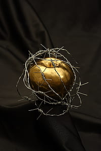 gold-colored Apple fruit with gray wire thumbnail