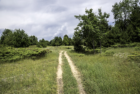 Path into the sand dunes at Whitefish Dunes State Park, Wisconsin thumbnail