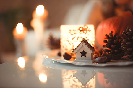 selective focus photography of miniature white house beside pine cones thumbnail