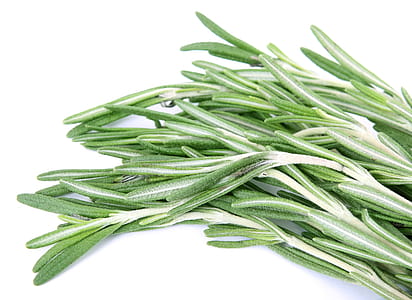 Rosemary thumbnail