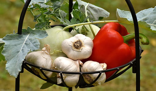 garlic on black steel pedestal bowl thumbnail