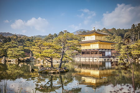 green tree surrounded by water near pagoda thumbnail