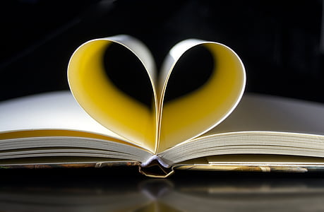 selective focus photography of folded book page thumbnail