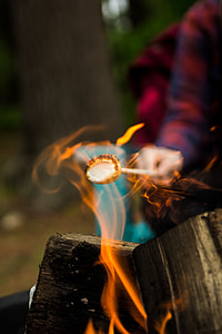 Toasting Marshmallow thumbnail