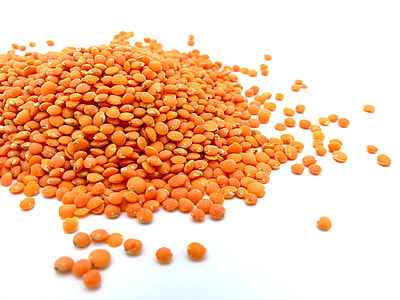 pile of yellow seeds thumbnail