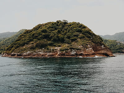 Rainforest Island thumbnail