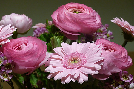 shallow focus photography of pink flowers thumbnail