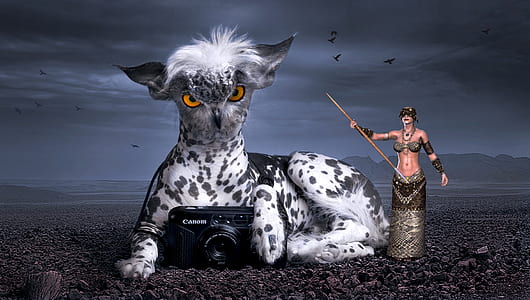 photo of black Camera with white and black animal and woman holding stick 3D illustration thumbnail