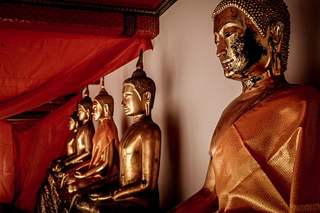 five gold Buddha statues inside room with white cloth canopy thumbnail