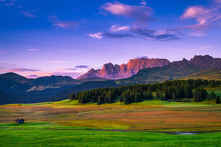mountain and tree wallpaper thumbnail