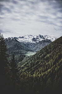 aerial view photography of snow-covered mountain surrounded by pine trees during daytime thumbnail