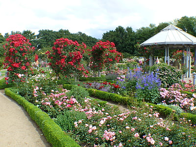 assorted flowers plant near white gazebo thumbnail