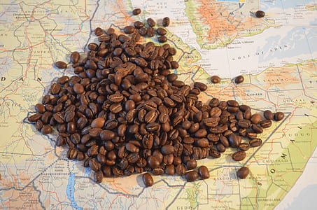 coffee beans on map thumbnail