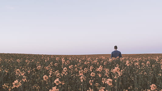 man standing on flower field thumbnail