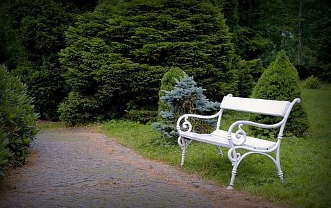 white steel bench on green grass field thumbnail
