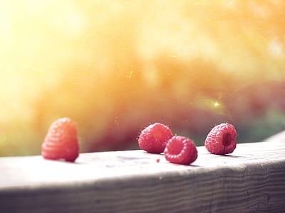 four raspberry fruits thumbnail