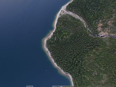 aerial photo of forest thumbnail