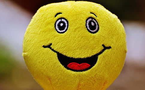 emojii smiley pillow thumbnail