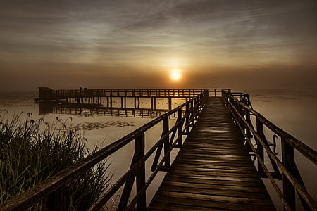 brown wooden dock near green grass during sunset thumbnail