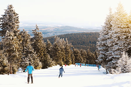 People skiing on a classic downhill track in winter thumbnail