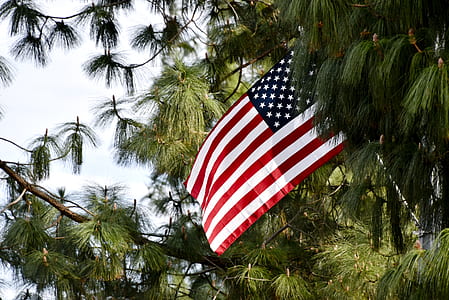 American flag on pole thumbnail