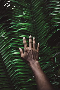 right human hand near green leaves selective focus photography thumbnail