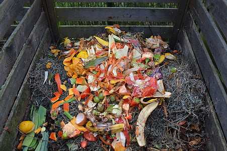 bunch of fruit peels thumbnail