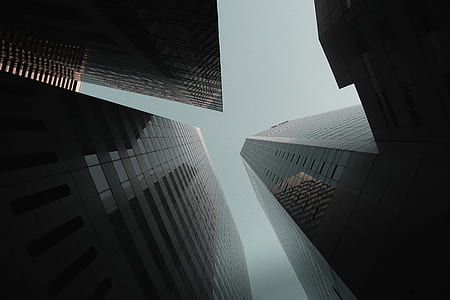 lowlight photography of high-rise buildings thumbnail