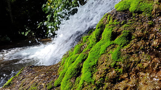 Photo of Waterfalls thumbnail