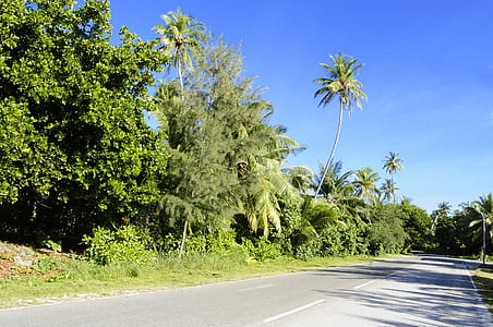 road, landscape, nature, sky thumbnail