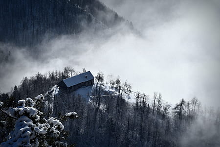 aerial view photography of white castle on fog thumbnail